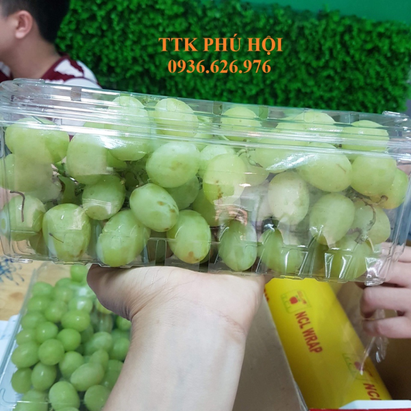 HỘP NHỰA ĐỰNG TRÁI CÂY 1KG P1000A